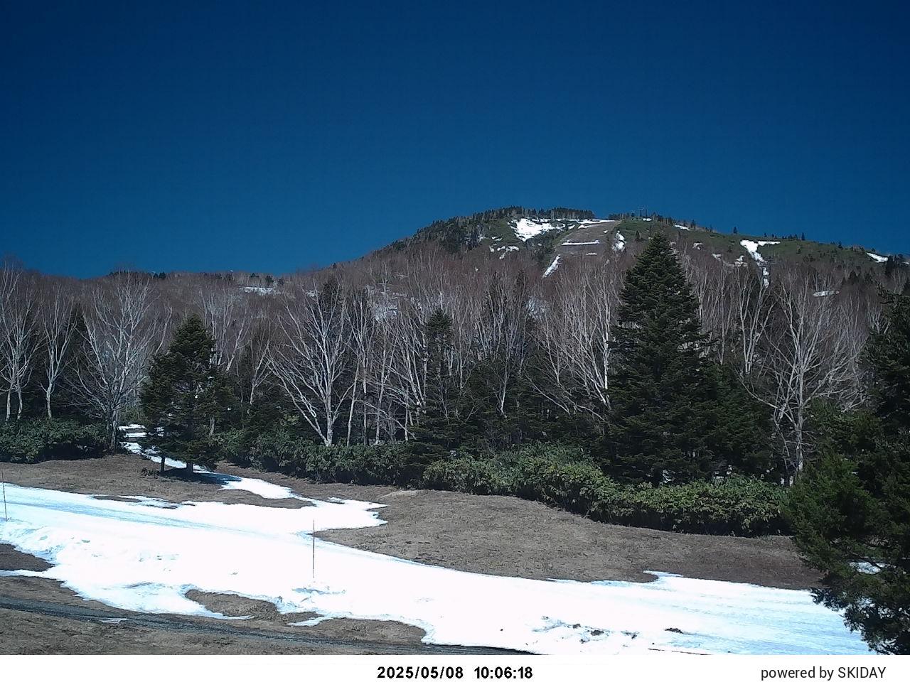 Shiga Kogen webcam