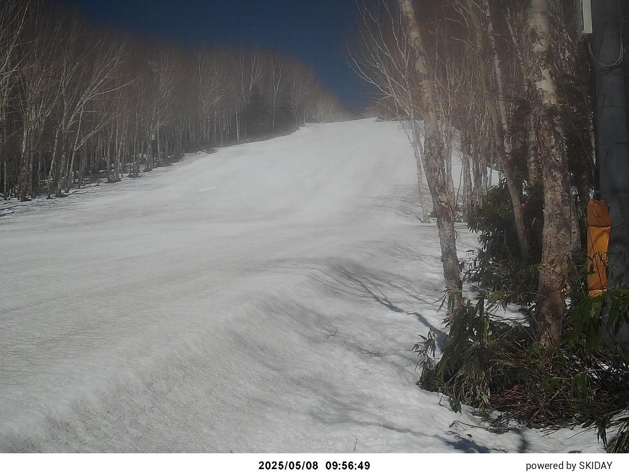 Shiga Kogen webcam